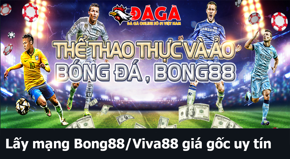 Lấy mạng Bong88/Viva88 giá gốc uy tín